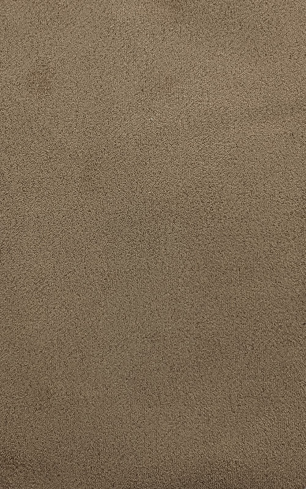 BISCUIT SUEDE 1
